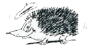 Image qui suit la souris